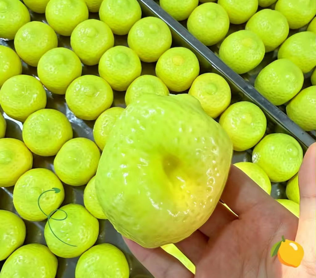 Green Crunchy Lime (Color-changing)