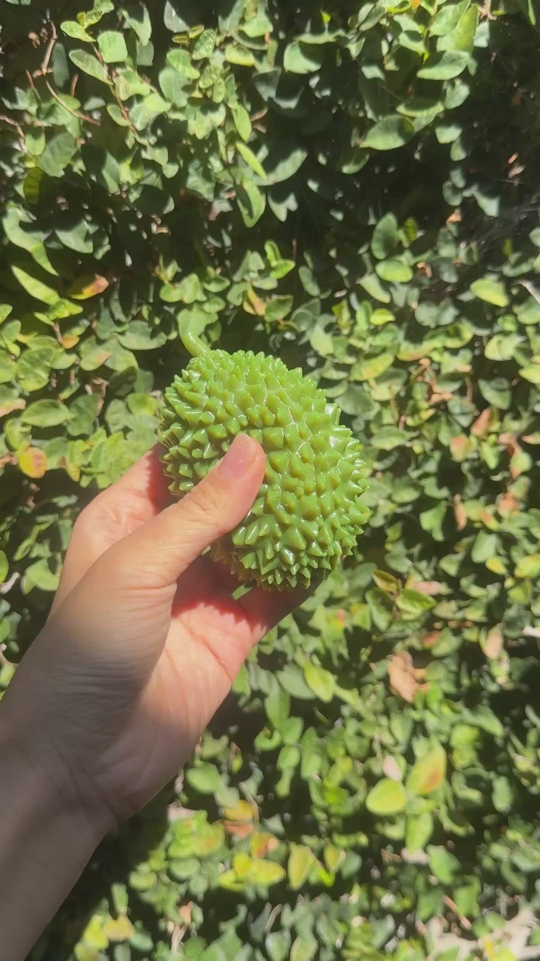 Crunchy Durian Squishy