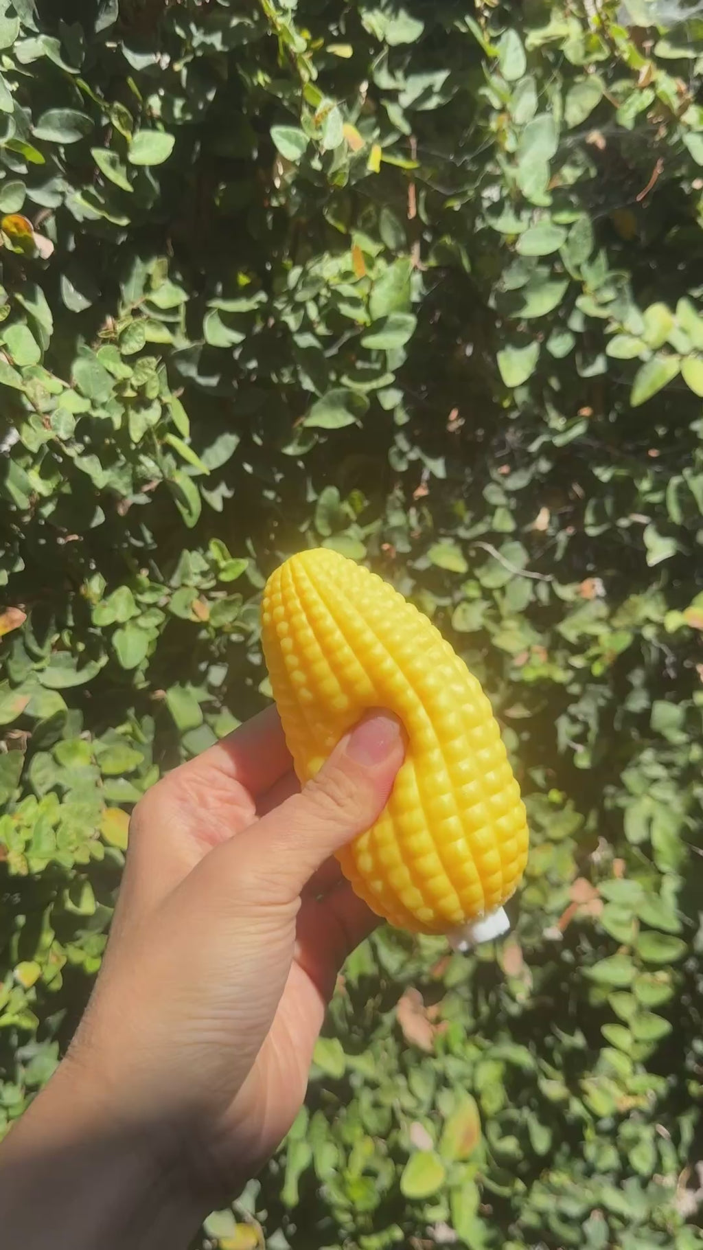 Crunchy Corn Squishy