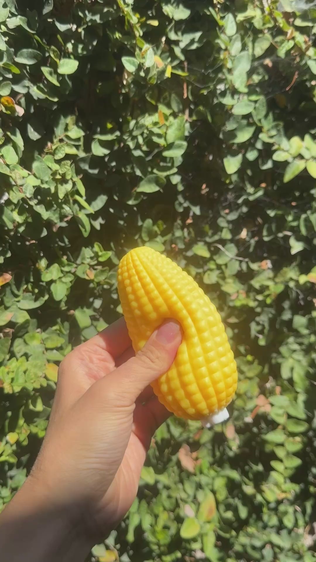Crunchy Corn Squishy