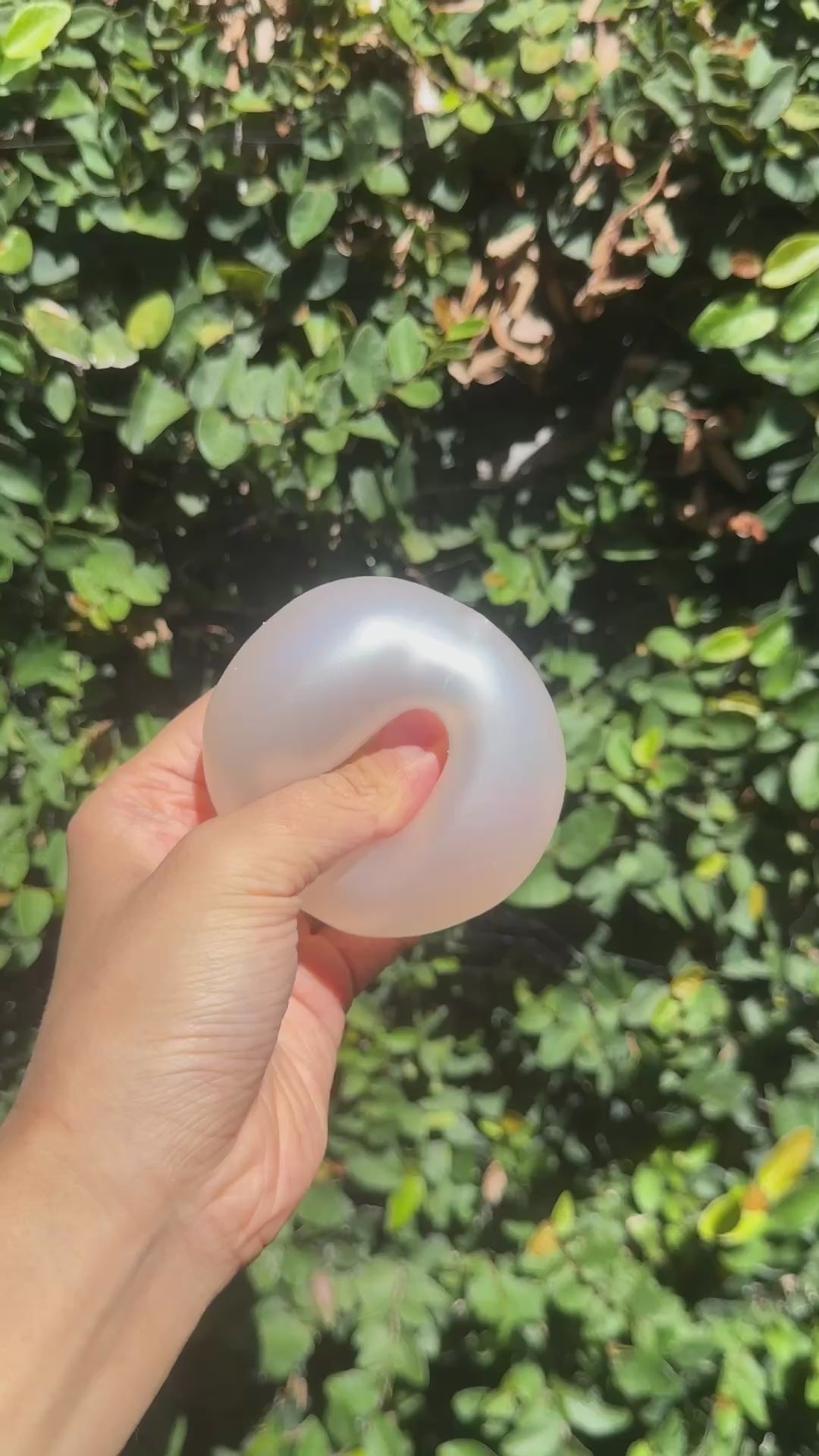 Pearly Coconut Oil Squishy